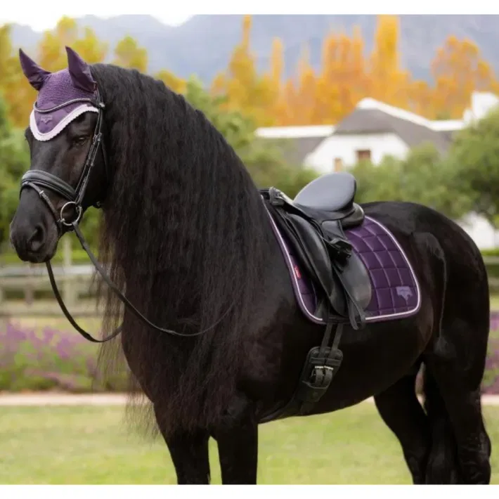 LeMieux Loire Classic Dressage Square Juniper AW25